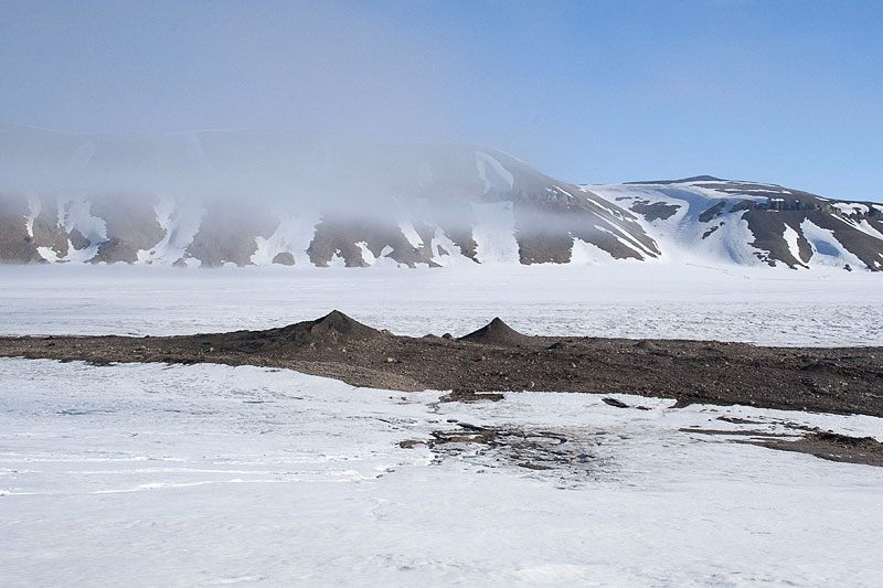 Polarisbreen