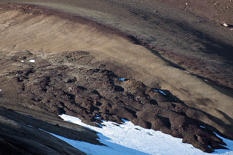 Polarisbreen