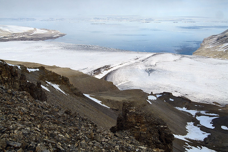 Polarisbreen