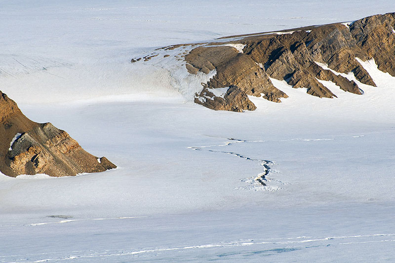 Polarisbreen