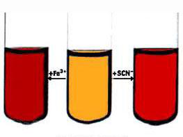 Ec-chem_equi_b