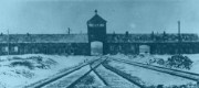 the Holocaust