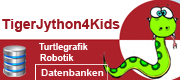 Datenbanken mit Python