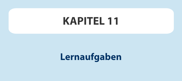 Kapitel 11: Lernaufgaben