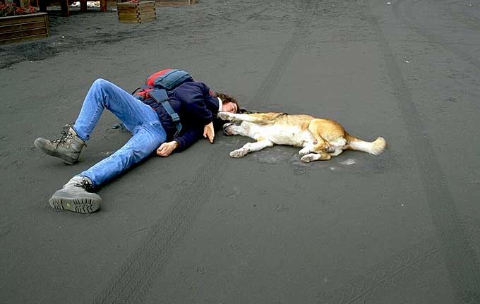 Lateral Eruption 2002: Ash and People