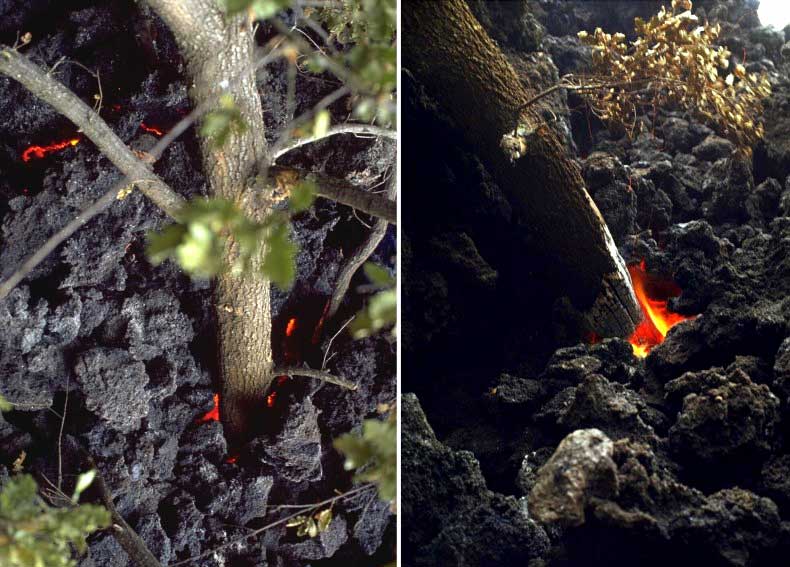 Lateral Eruption 2002: The North Fissure Lateral Eruption 2002: The North Fissure