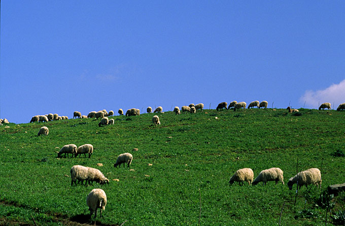 Spring on Etna