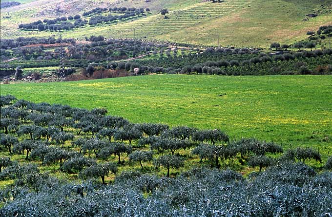 Spring on Etna
