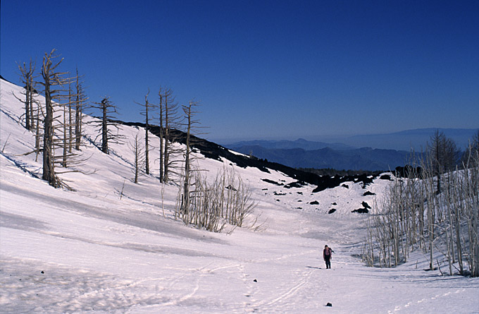 Spring on Etna