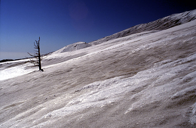 Spring on Etna