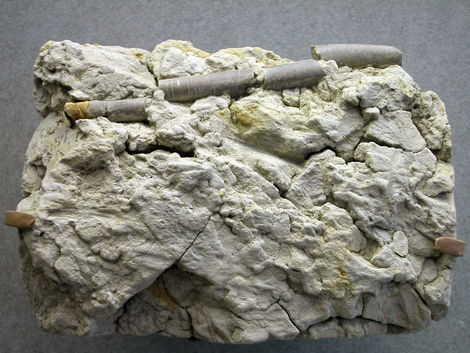 Impaktgesteine und weitere Phänomene Impaktgesteine und weitere Phänomene