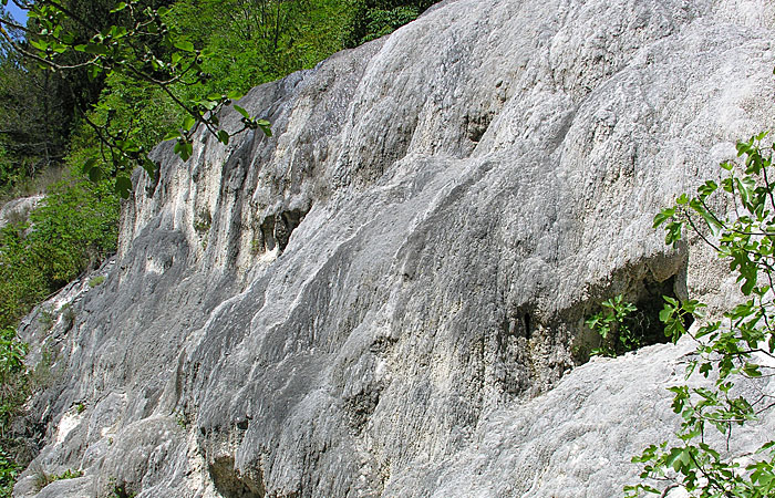 Depositi di Travertino delle sorgenti calde alla periferia del Monte Amiata