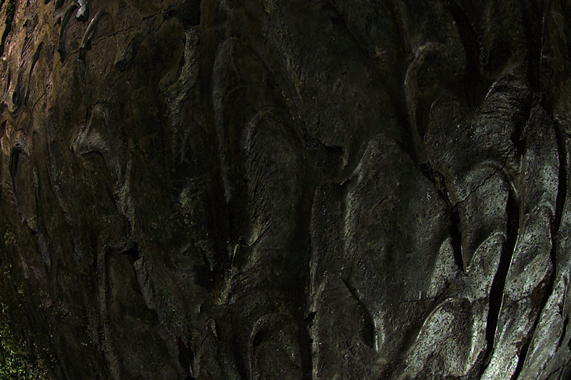 Inside a Volcano: Lava Tube and Chimney (September 2009)