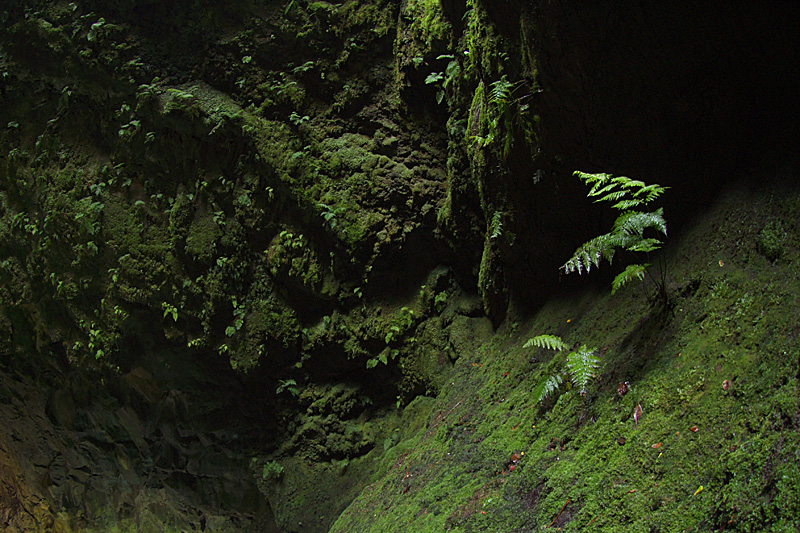 Im Innern eines Vulkans: Lavatunnel und Schlot (September 2009)