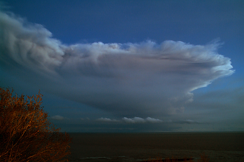 The Plinian Eruption of 4 April 2009 of Redoubt Volcano