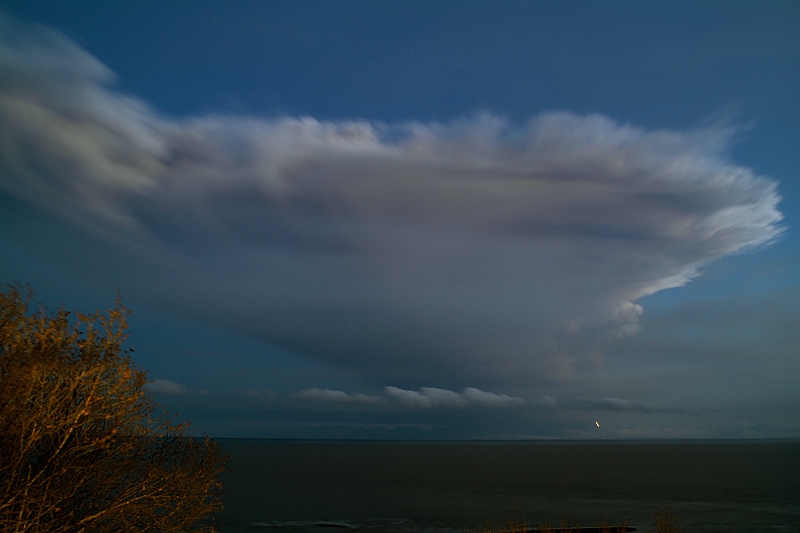 The Plinian Eruption of 4 April 2009 of Redoubt Volcano