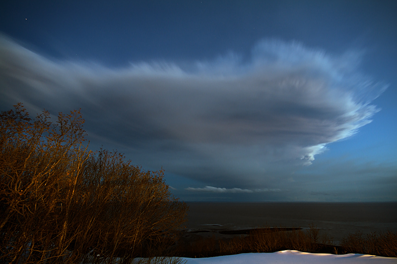 The Plinian Eruption of 4 April 2009 of Redoubt Volcano