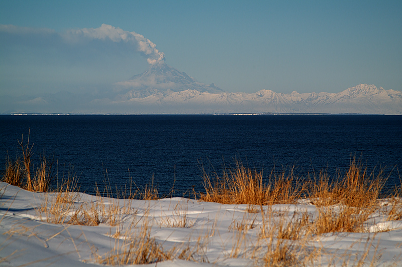 The Plinian Eruption of 4 April 2009 of Redoubt Volcano