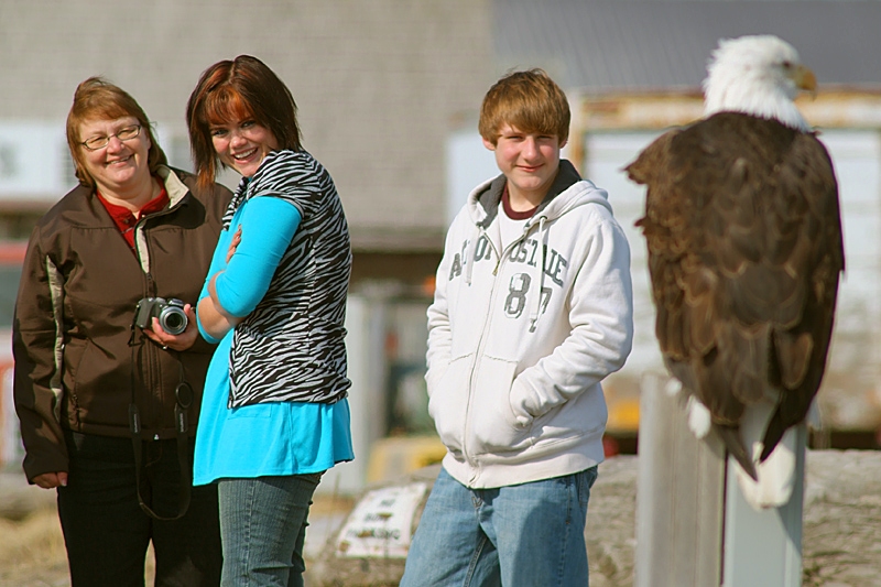 The Ninth Page: Wildlife in Alaska