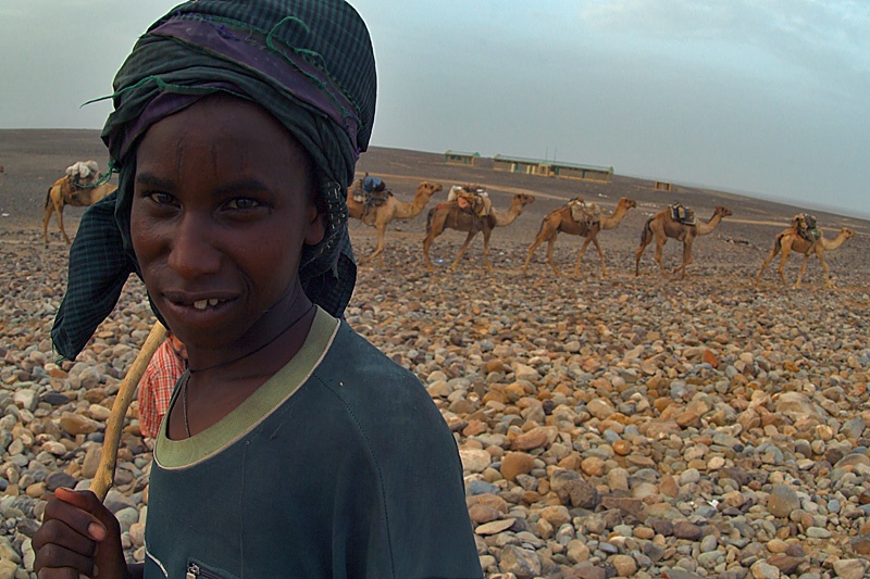 The Salt of Africa The Salt of Africa