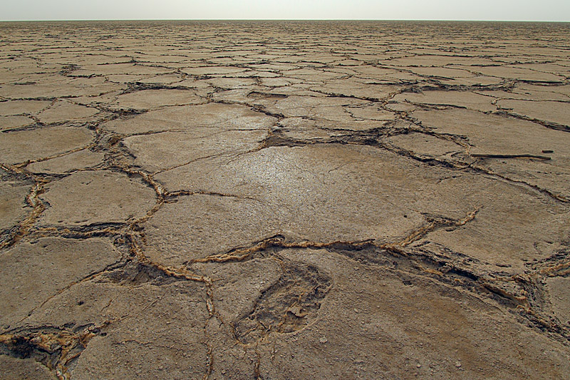 The Salt of Africa The Salt of Africa