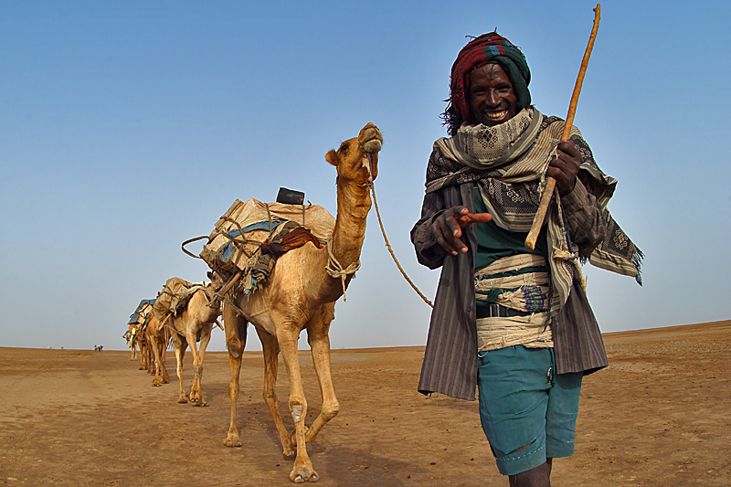 The Salt of Africa The Salt of Africa