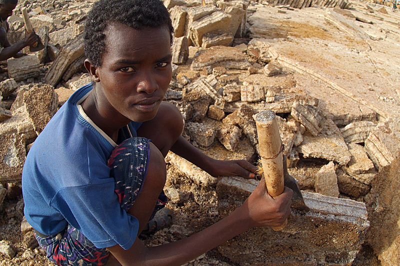 The Salt of Africa The Salt of Africa