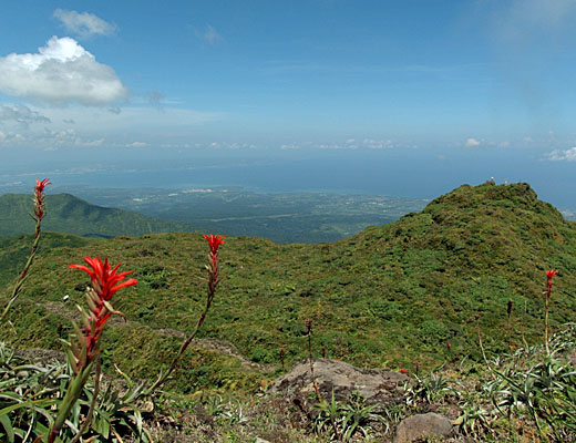 Avanti