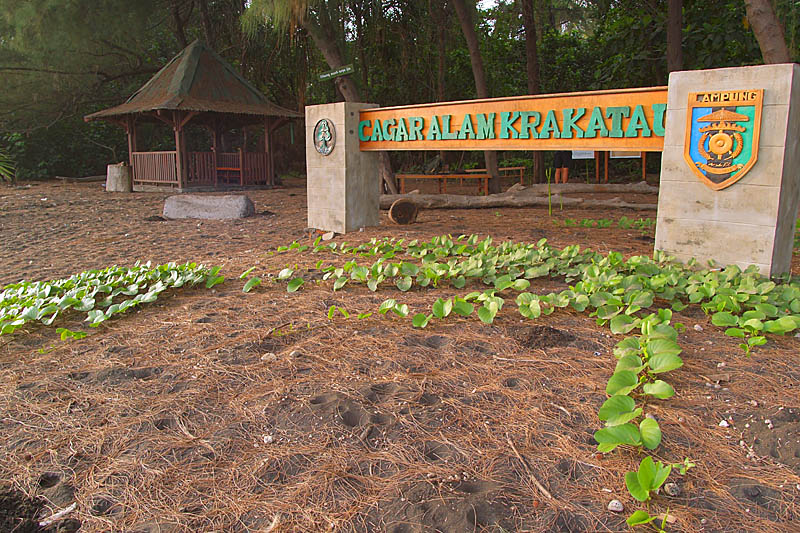 Brief excursion to Anak Krakatau