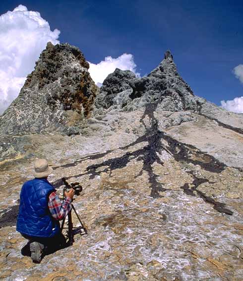 1995: Photos and video by Pierre Vetsch