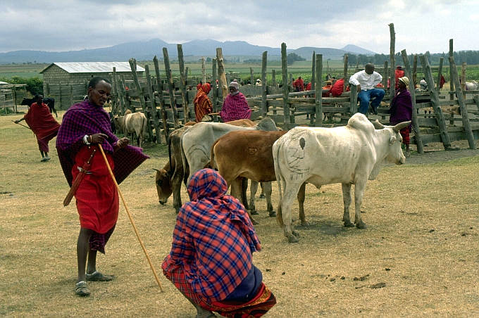 Markt der Maasai. 27 Juli 2003