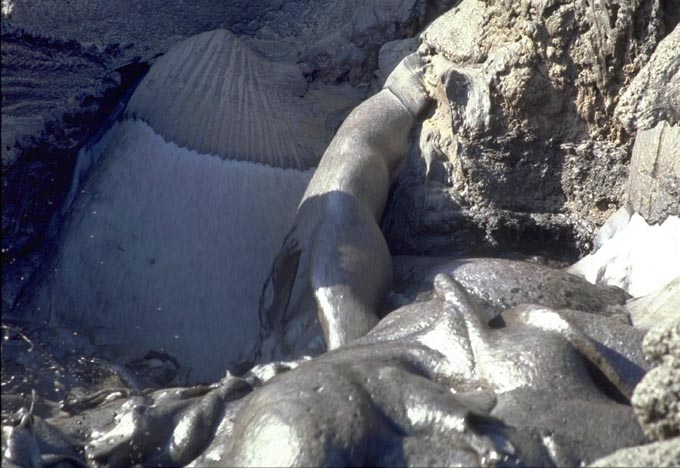 Fotoseite 2: 25.-29.Juli 2001 Eine Nacht auf einem fremden Planeten?