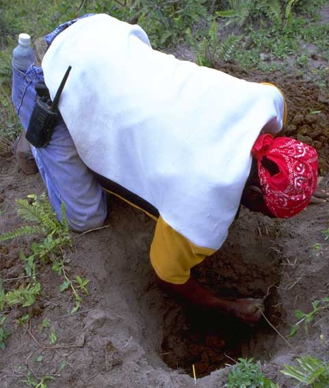 Volcanologists in the field