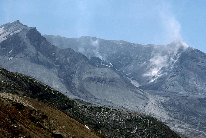 Fotoseite Fotoseite