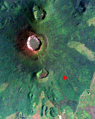 Nm422
