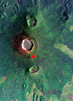 Nm449