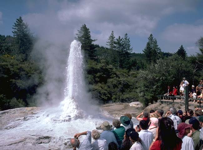 Geysers near Rotorua