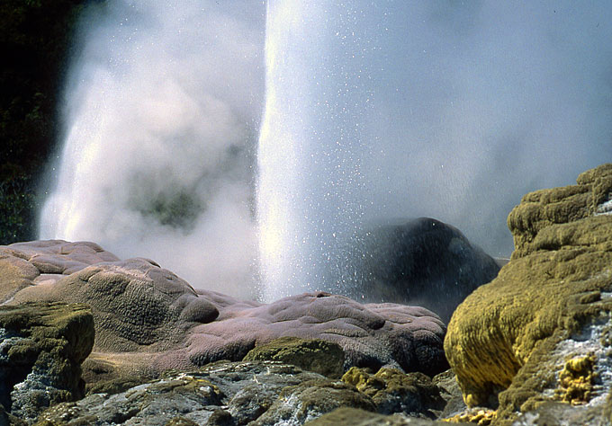 Geysers near Rotorua