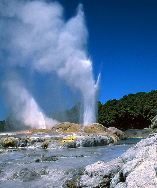 Geysers near Rotorua