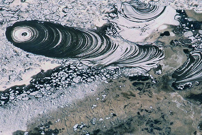 Geysers near Rotorua