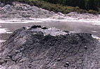 Movies from hot mud pools around Rotorua