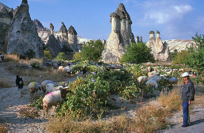 'Feenkamine' bei Goreme und Zelve