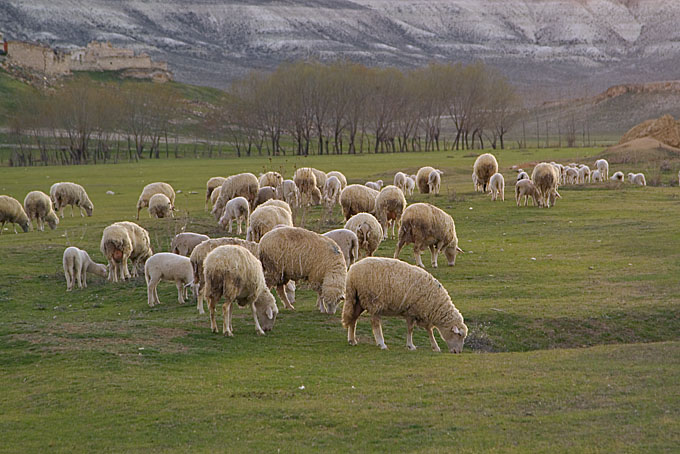 Farben Anatoliens