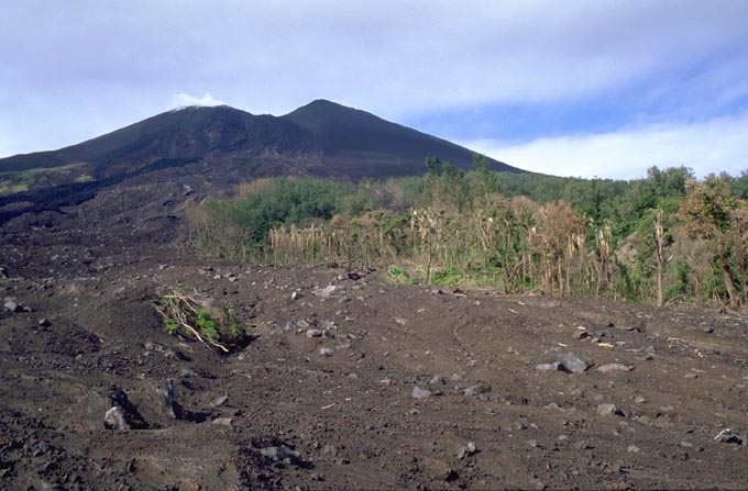 Lopevi Fotoseite Juli 2000