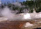 Geysers in Eruzione: Video