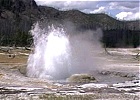 Geysers in Eruzione: Video