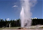 Geysers in Eruzione: Video