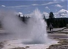 Geysers in Eruzione: Video