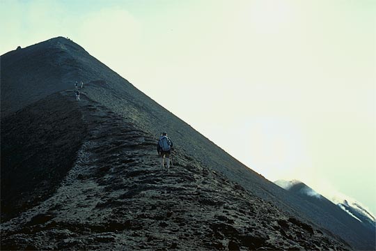 Avanti