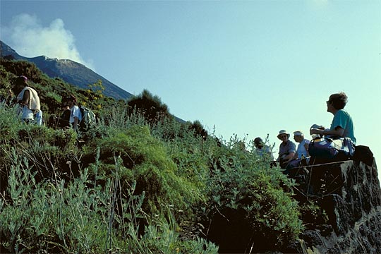 Avanti
